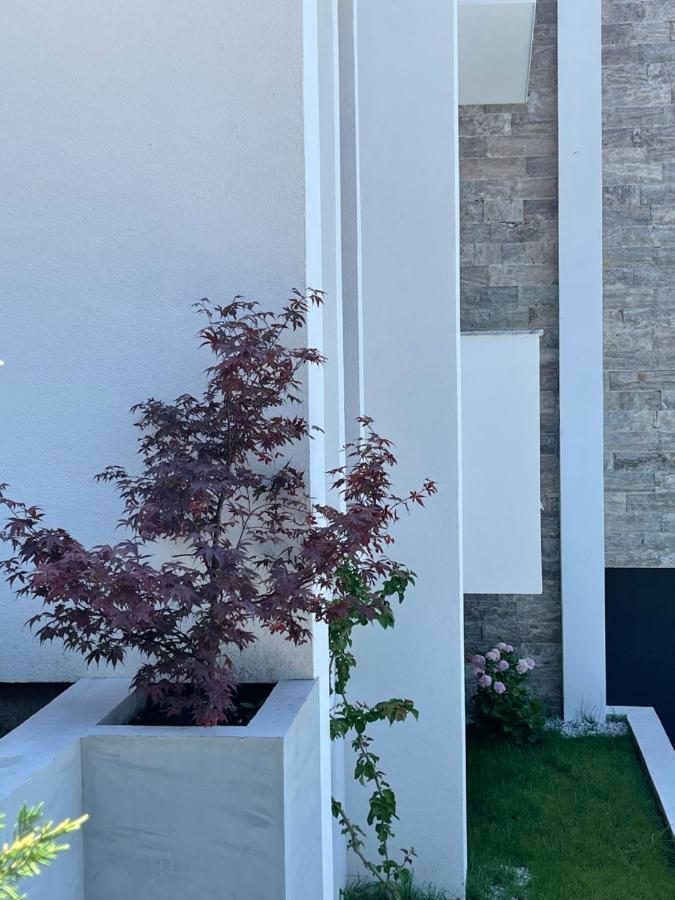 Villa Pine Bar Kültér fotó